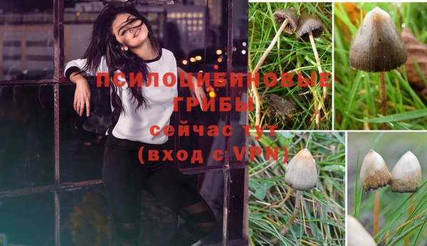 трава Пестово