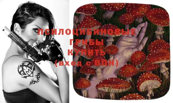 круглые Переславль-Залесский
