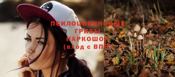 первитин Пересвет