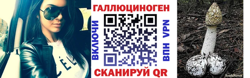 Псилоцибиновые грибы MAGIC MUSHROOMS  купить  сайты  Чишмы 